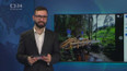 Reportáže ČT na sociálních sítích