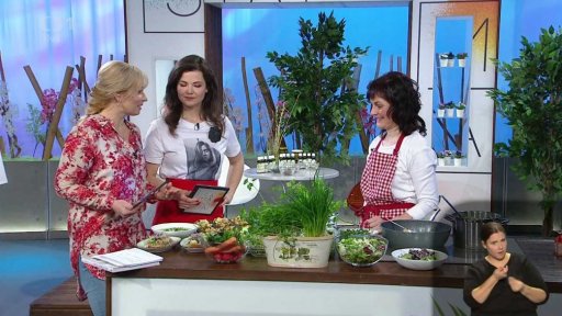 Vaření: Jarní bylinkové menu - 3. část + anketa