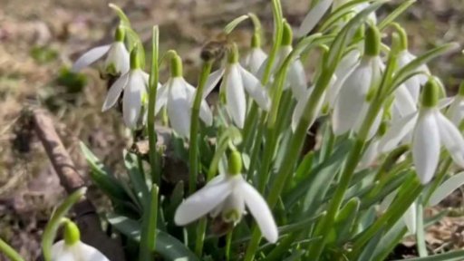 iReportéři soutěž