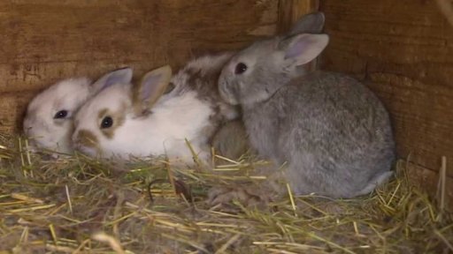 Tři minuty z: Velký Ořechov