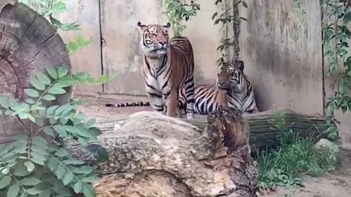 iReportéři soutěž