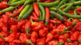 Bez komentáře: Moravské chilli
