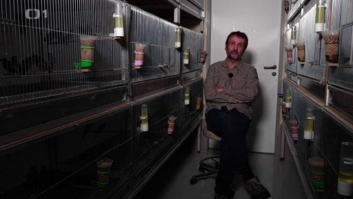 O vědě a vědcích: Nevěrní pěvci