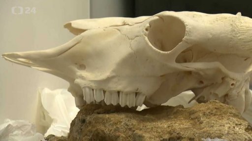 Archeologické objevy