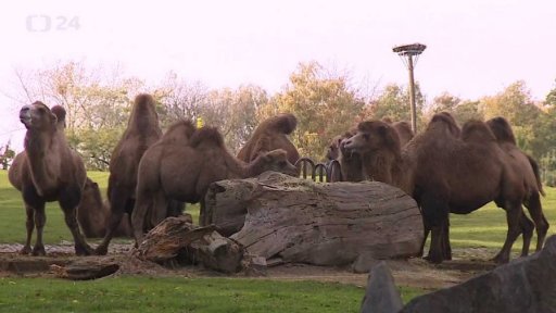 70. výročí Zoo Ostrava