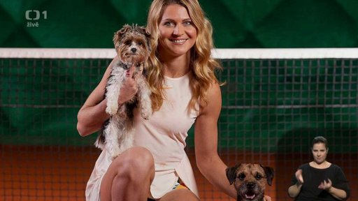 Spolek pro opuštěné psy a kočky - 2. část