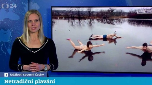 Přehled sociálních sítí