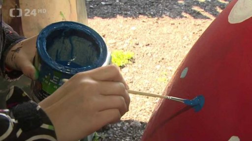 Přehled sociálních sítí