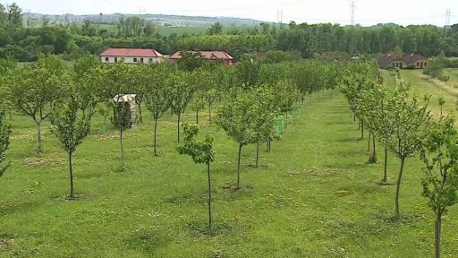 Přírodní klimatizace