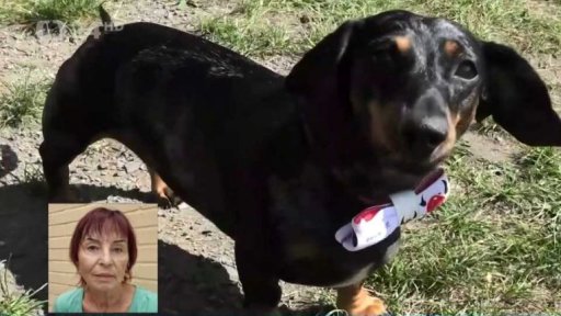 Kamerou iReportéra ČT