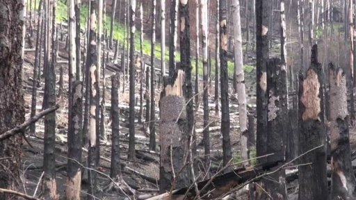 Výzkum ekologické zátěže přírody