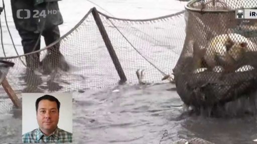 Výlov rybníka kamerou iReportéra