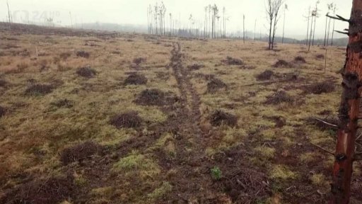 Lesníci kypří půdu ve vyschlých lesích