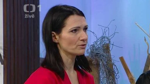 Duševní zdraví dětí: multidisciplinární týmy - 2. část