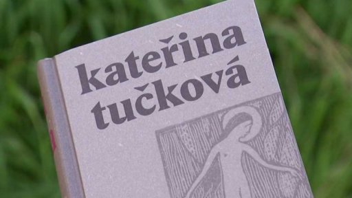 Art týden: román Bílá voda Kateřiny Tučkové
