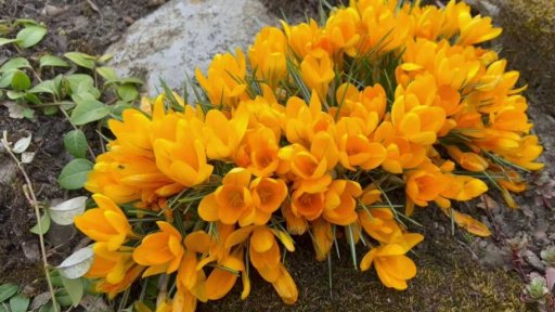 iReportéři soutěž