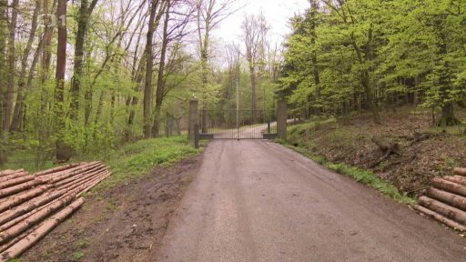 Lesní obory pro všechny