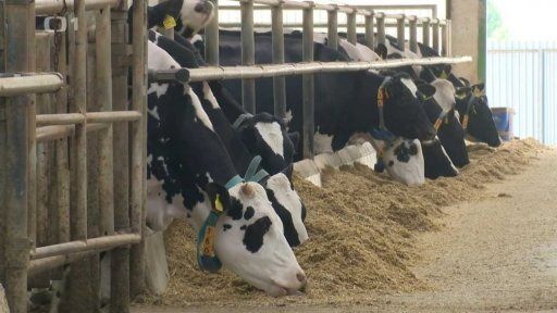 ÚOHS: Trh s potravinami v pořádku