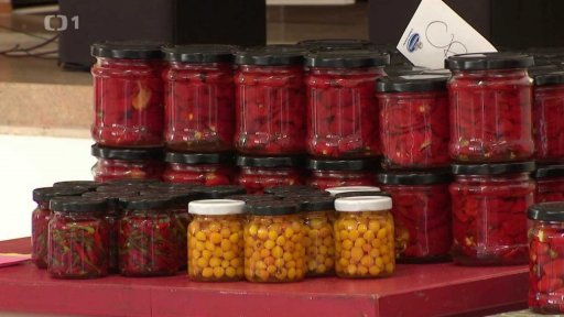 Bez komentáře: Sběr chilli v Ladné