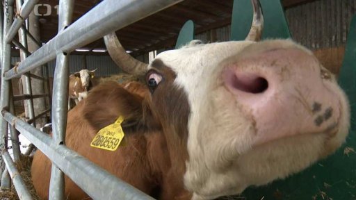 Tři minuty z: Braníškov