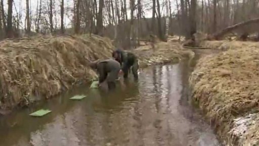 Jihočeští rybáři vysazují pstruhy do potoků