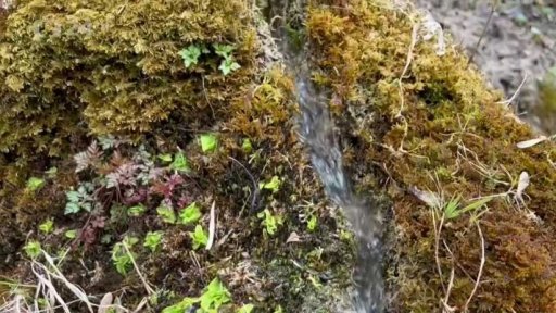 Kamerou iReportérky Jany Korbové