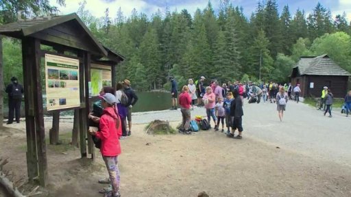 Šumavu trápí odpadky, sbírat je musí strážci