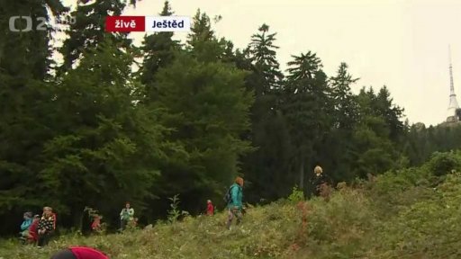 Nové stromy jako náhrada za sjezdovku