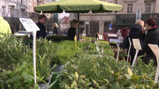 Bez komentáře: Zahrádkářská sezóna v plném proudu