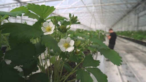 O vědě a vědcích: Robot zahradníkem