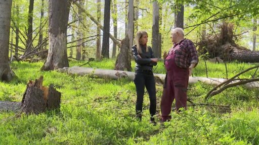 Tři minuty z Cetechovic