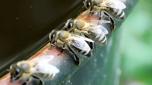 iReportéři soutěž