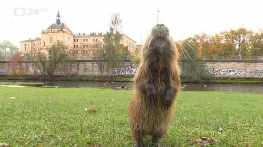 Přehled událostí týdne