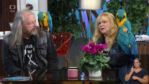 Michal Vaniš a Romana Bočková - papuščí terapie - 1. část