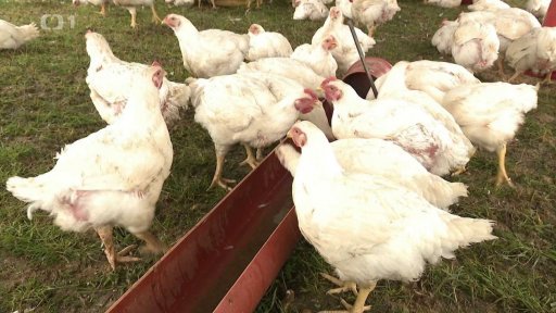 Od místních farmářů