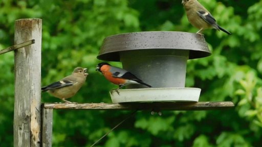 iReportéři soutěž