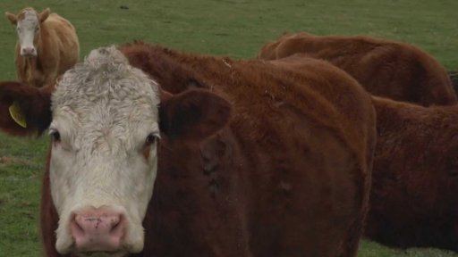 Přehled událostí týdne