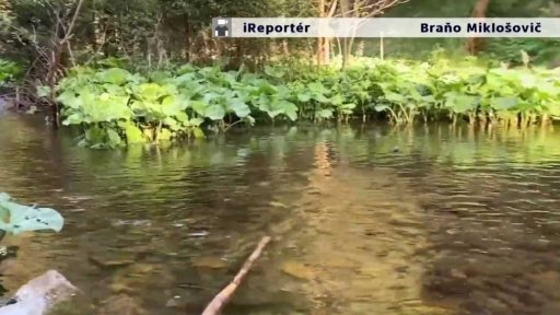 Soutěž iReportérů ČT