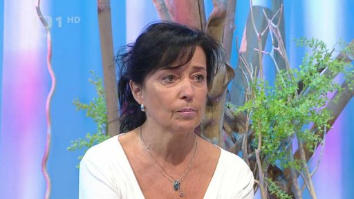 Pedostomatologie - historie a její vývoj - 2. vstup