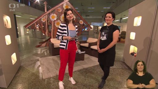 Výstava Večerníček slaví 60 let - 1. vstup