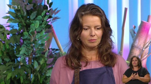O ajurvédě s Kateřinou Halamovou - 2. vstup
