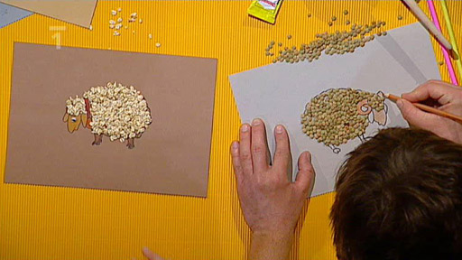 Obrázek ze suchých plodů