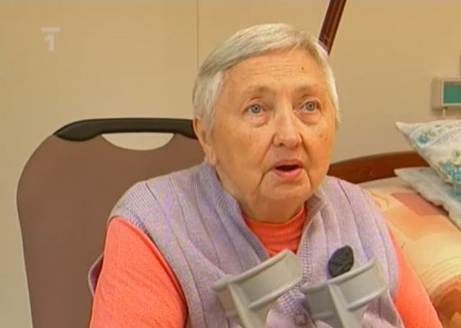 Dobrovolné hospicové hnutí