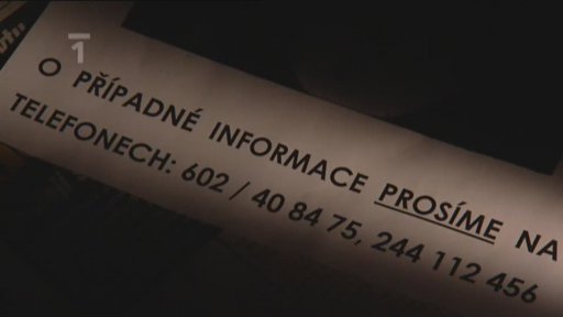 Pohřešovaná matka