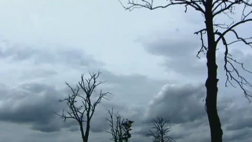 Smrt obchodního cestujícícho