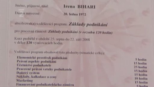 Jak se stát podnikatelkou