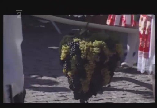 Vinobraní v Hradišti