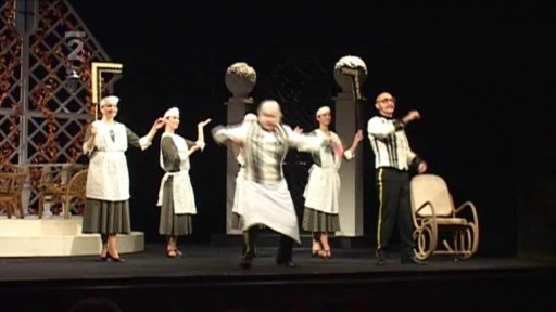 Slezské divadlo v Opavě - opereta