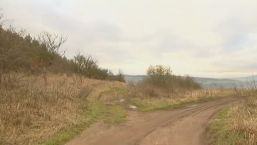 Zmizení Petry Žroutové