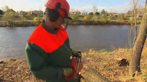 Lesnická rekvalifikace a kurzy